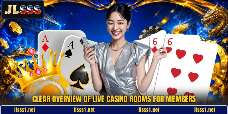 Clear overview of live casino rooms for members