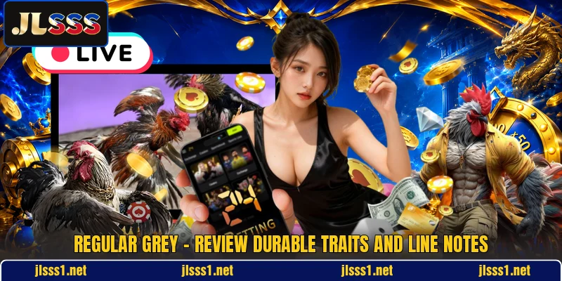 Regular Grey - Review Durable Traits And Line Notes